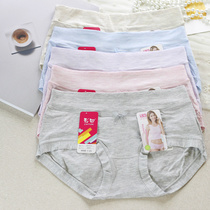 3 colorful fields 36081 Fresh light color Modale soft smooth and simple bag glutes in hip waist and womens underwear