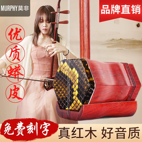 Профессиональные этнические музыкальные инструменты для взрослых для начинающих, прямые продажи с завода