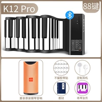 K12 Pro Beginner Basic Set