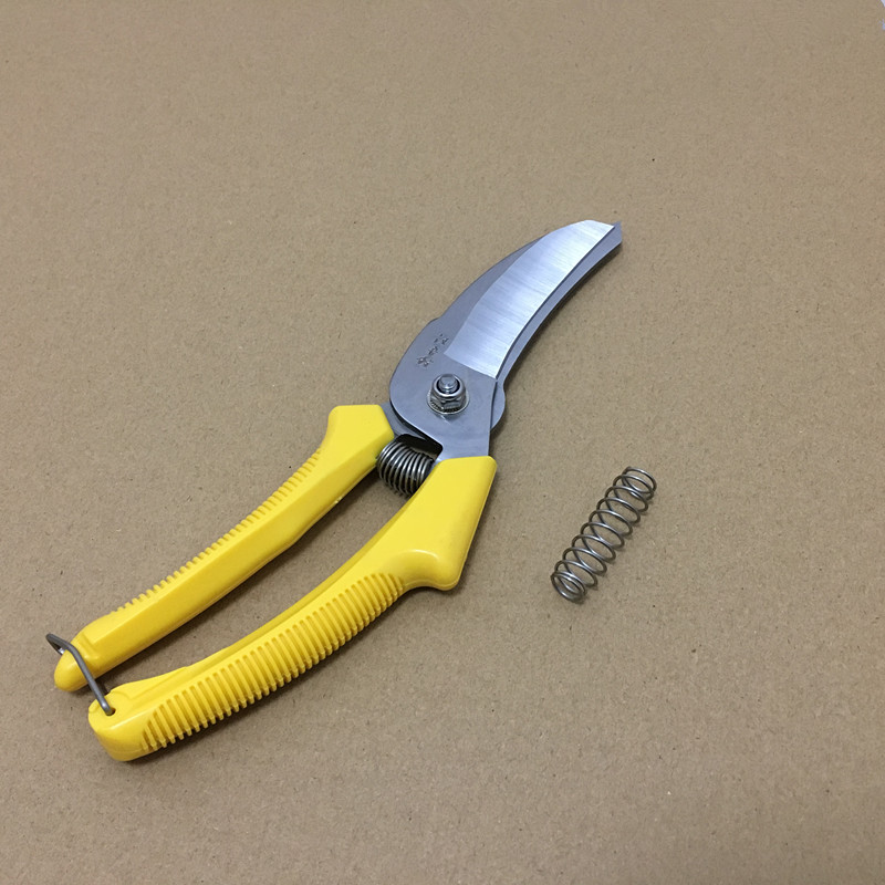 Wang Wuquan Stainless Steel Garlic Special Scissors Garlic Scissors Cut Garlic garlic Cut Garlic God Instrumental Garlic Hu Cut