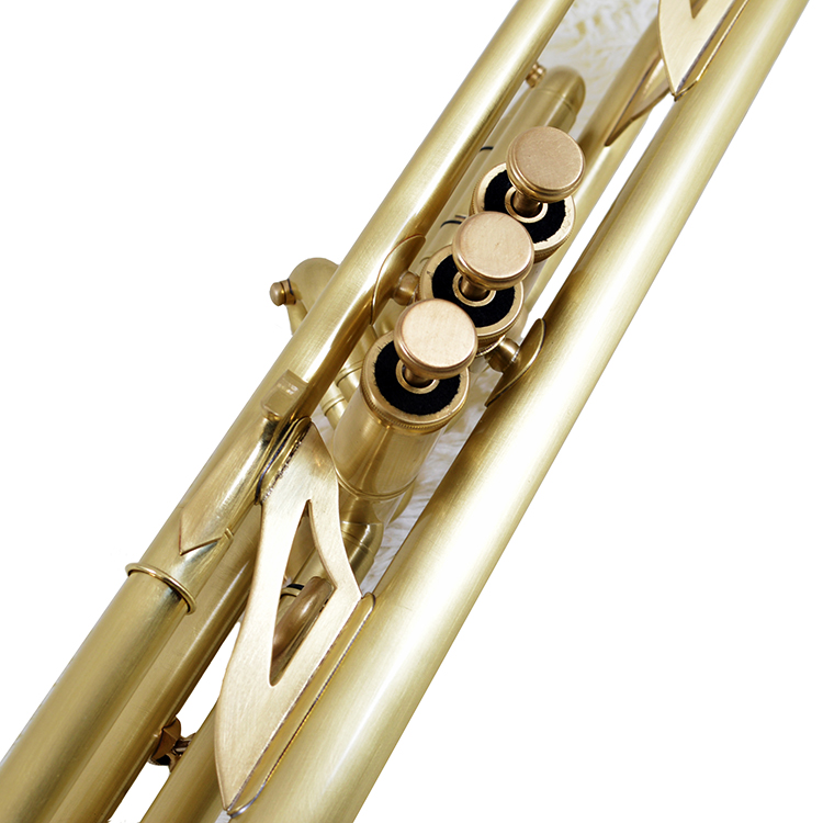 Jinbao JBTR-450 B kèn phẳng Cổ chải mờ Công cụ kiểm tra chơi nâng cao - Nhạc cụ phương Tây đàn guitar ba đờn