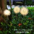 牧阳装饰灯