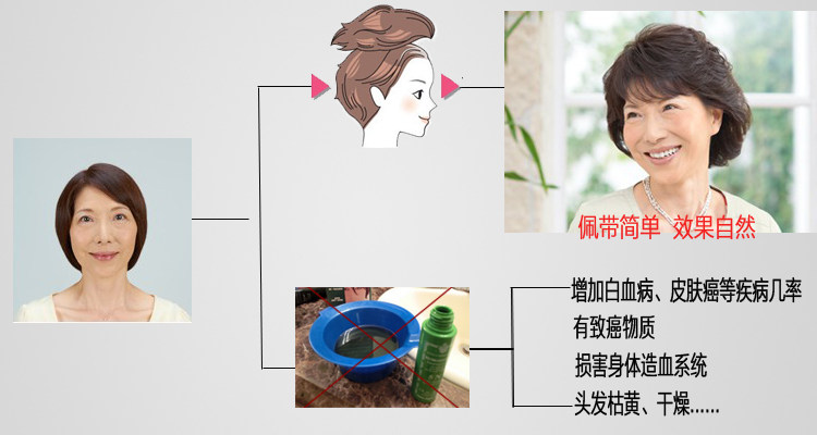 Extension mèches - Ref 220257 Image 11