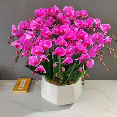 金泰生活家居用品