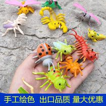 Simulation mantis ladybug model beetle toy Childrens early education teaching aids Gardening decoration insects