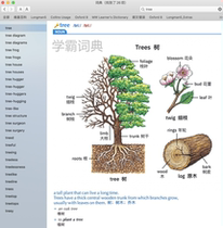 Oxford high-ranking Ingham double solution 8910 Langen Collins Mac computer native thesaurus English electronic dictionary app