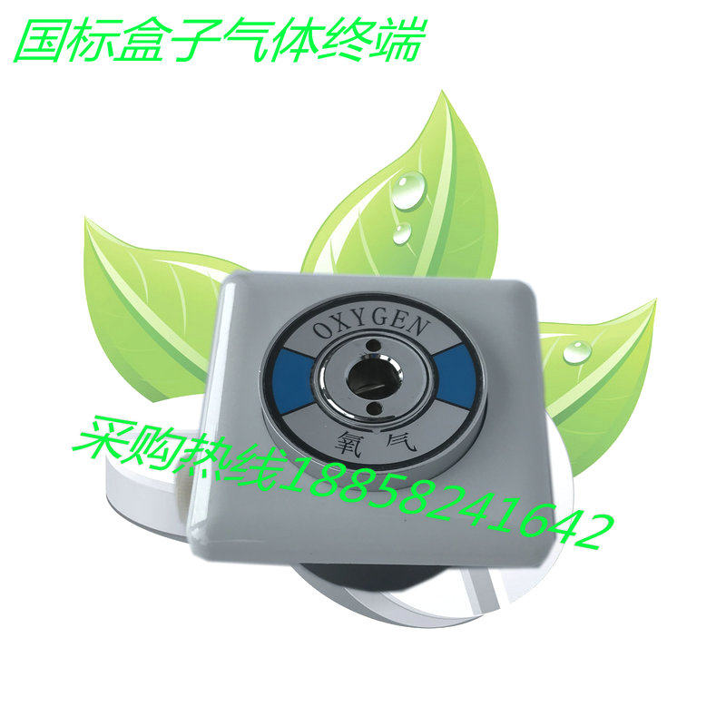 National standard O2 oxygen air terminal welded copper tube leather tube copper tube pendant German standard oxygen terminal air source seat