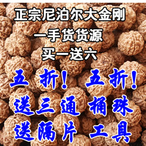  Nepal Vajra Bodhisattva currency 4 four 5 five 6 six-petal loose beads raw seeds mens hand skewers 108 kg