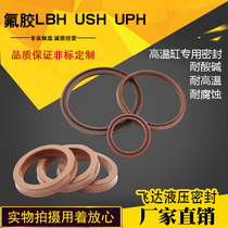 High temperature hydraulic cylinder with fluorine rubber sealing ring LBH USH UPH cylinder seal High temperature o-ring