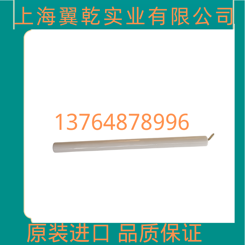 Ignition electrode ignition needle RS44 RS100 BG450 BG550 BG300 BG400 ion rod probe