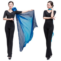 Body manners training clothes classical dance clothing gymnastics ballet practice suit female V-collar yoga suit