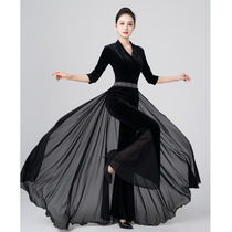 Talent Dance Clothing Golden Velvet Reach-collar Top Model Ballet Training Ceremony Training Clothes