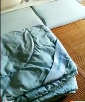 Pillows one or two balanced healthy sleep system bedding quilts how much do you want?