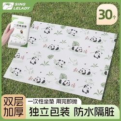 Outdoor Cushion, Disposable Thickened Waterproof and Moisture-Proof Mat, Picnic Mat, Autumn Outing, Picnic, Music Festival, Park Grass Mat