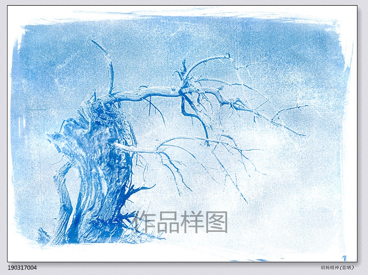 Classical printing method, cyanotype original photography works: Populus euphratica spirit, handcrafted vintage photos