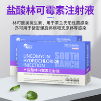 Veterinary drug Lincomycin hydrochloride injection pig cattle and sheep medicine cough high and low fever sow postpartum anti-inflammatory injection