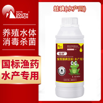 Frog iodine aquatic products frog breeding special forest frog Bullfrog stone frog rotten skin rotten body povidone iodine sterilization disinfectant