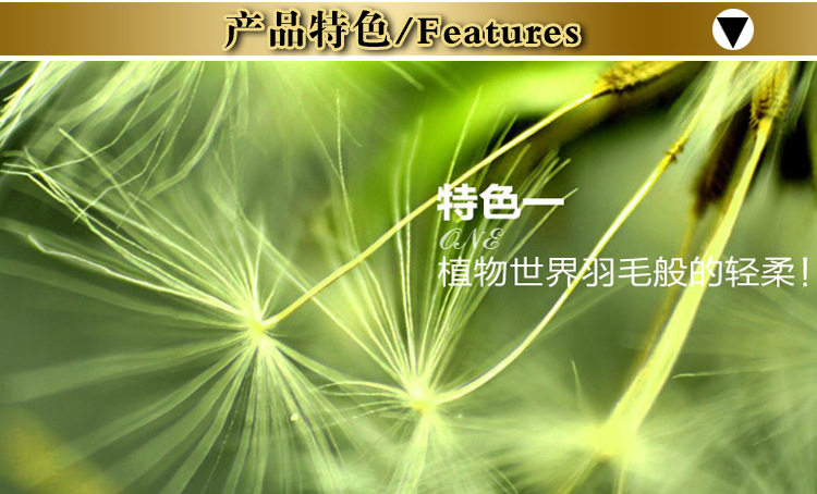 Slip jeunesse 10-3532 en coton - Ref 642105 Image 21