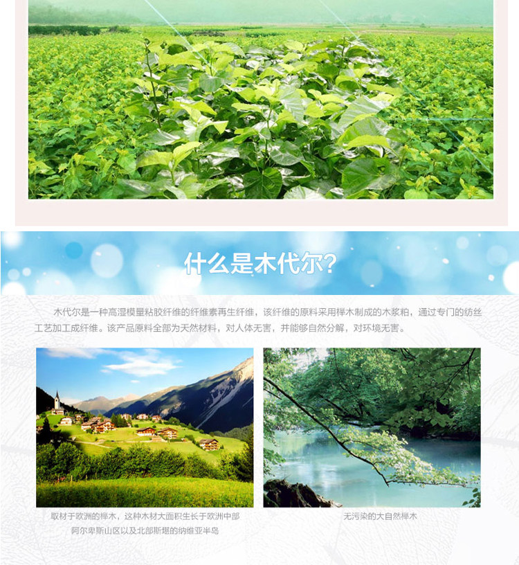 Slip jeunesse 10-3532 en coton - Ref 642105 Image 17