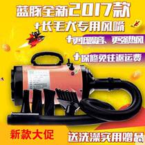 Blue Dolphin Pet Blown Water Machine Pet Special High Power Silent Dog Hair Dryer Large Dog Blow Long Hair Machine Home