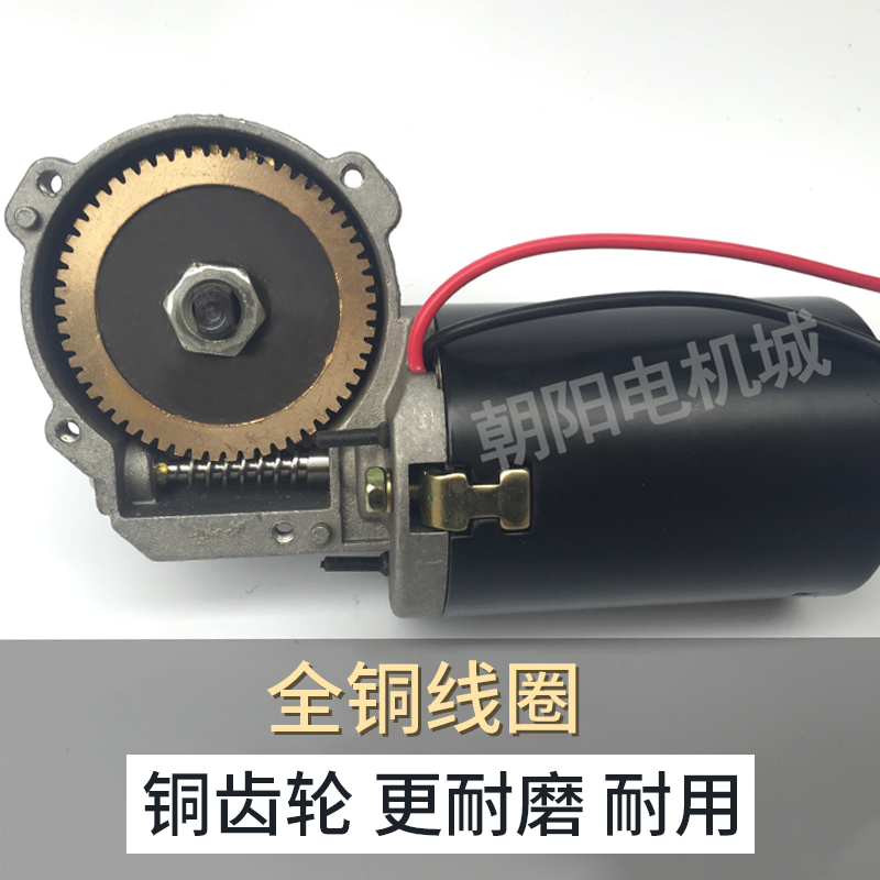 Chaoyang motor worm gear motor self-locking 12v 24v DC geared motor copper turbine outlet shaft wash keyway