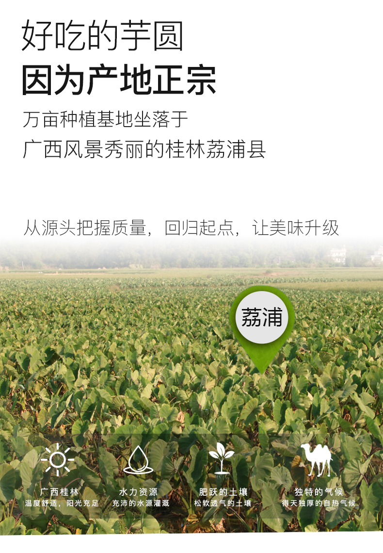 炫福小芋圆子鲜芋仙手工西米露组合套餐500g