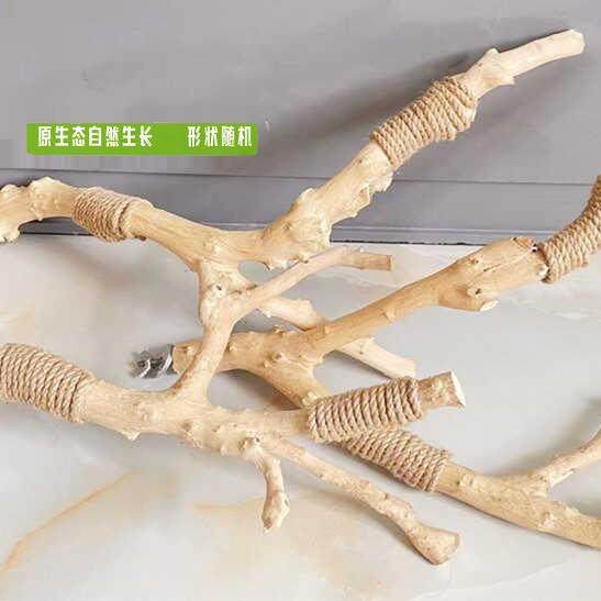 オウム、九官鳥、セキセイインコ、オカメインコ用の丸太の止まり木。天然の木の枝の止まり木。