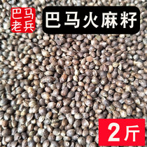 Guangxi Bama Special Products Hemp Seed Seed Hemp Seed Hemp Seed Free Shipping Hemp Soup 1000g