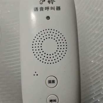 Repairable Pager. Total of 19, No Main Unit, Condition as Shown in the Picture, Priced as Shown