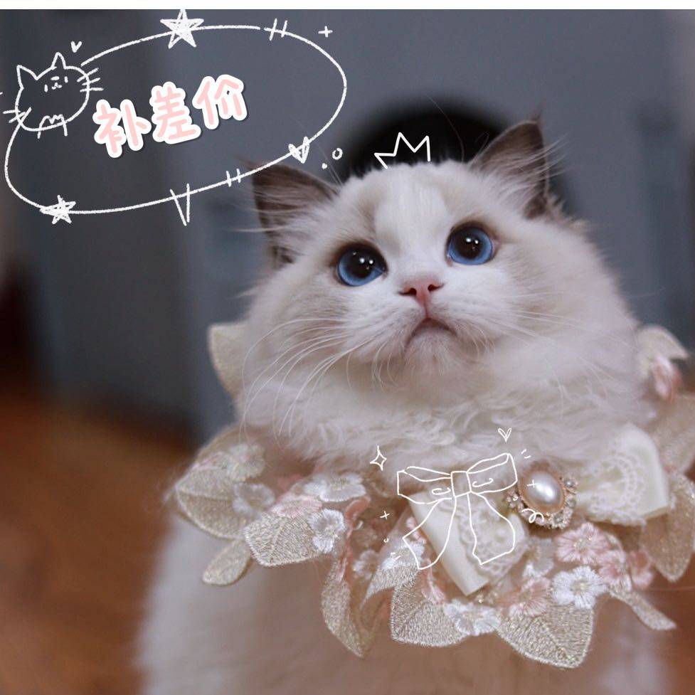 FairyElf) tonic for special insect repellent is also available for selfies (private chat customer service