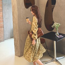 Pregnant women spring dress 2021 new long sleeve skirt loose size Korean version of Joker long skirt