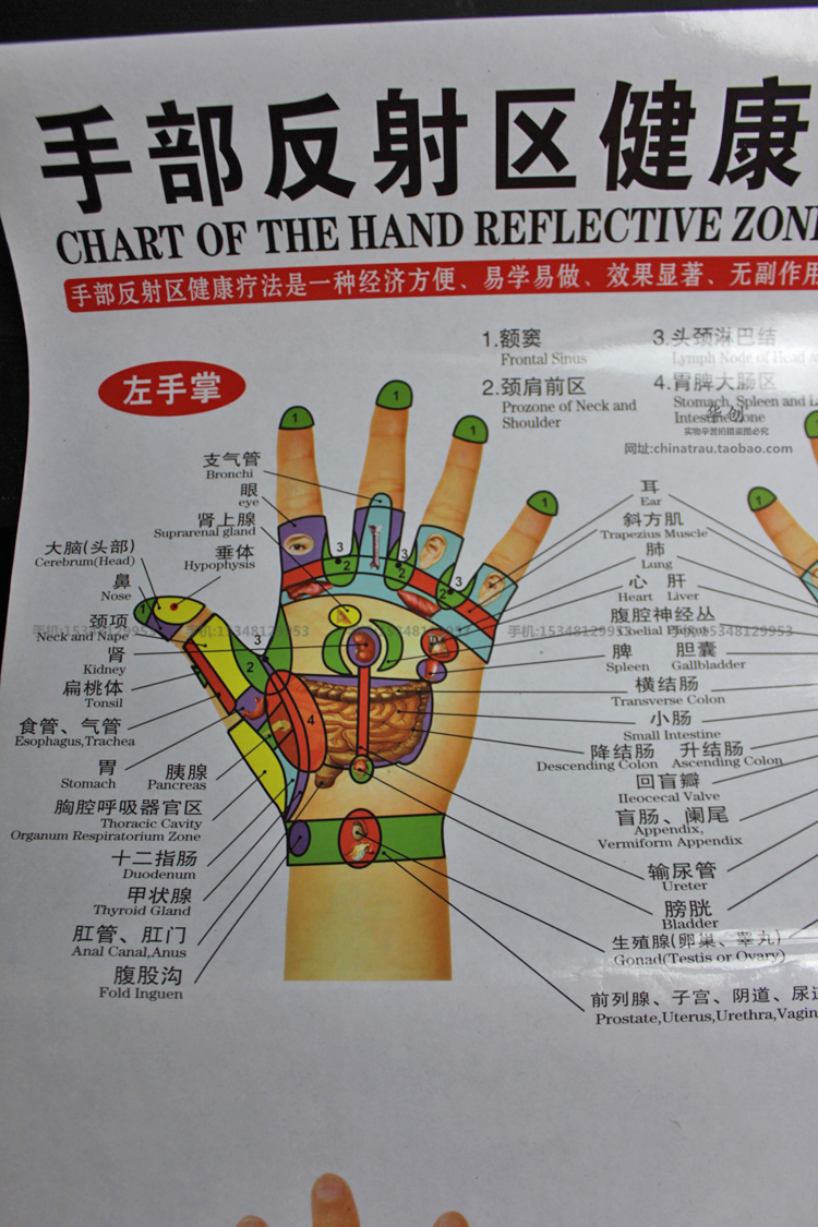 Hand Reflection Chart