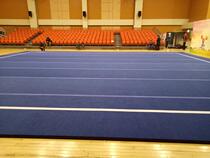 Hanjie Sports Professional Cheerleading Carpet Cheerleading Competition Cheerleading Training Ground