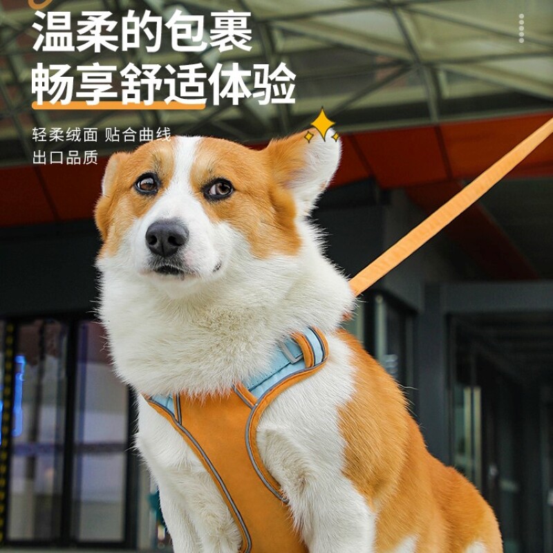 Dog cuddling bag vest type adjustable pet traction rope large dog small and medium dog gold wool-kirky walking dog chest back
