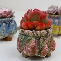 Fleshy small flowerpot small control fine wheat rice Stone burst ice crack flow glaze meat special flowerpot set combination