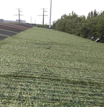 Wenzhou anti-aerial camouflage camouflage camouflage net Yueqing construction site mountain sunscreen Net anti-counterfeiting star green sunshade net