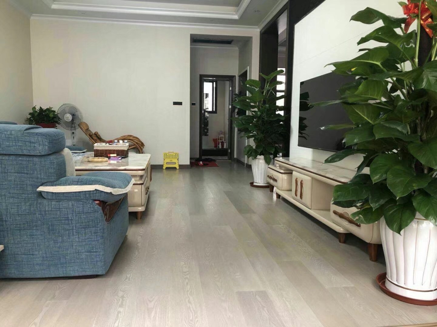 (100 yuan deposit) Living home floor snow valley spring