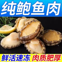 Nanri Island abalone meat fresh shelled abalone fresh sea-caught frozen large abalone SF Express 1kg 3kg 5