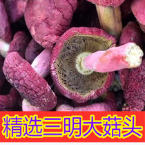 New Sanming premium selected dried red mushrooms Wild authentic mushrooms dried red mushrooms Big red mushroom head 500g