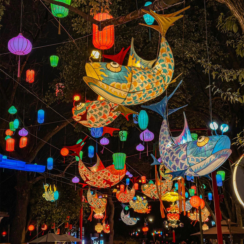 Large Outdoor Lanterns, Popular Fish Lanterns, Scenic Spot Lantern Displays, Restaurant and Commercial Street Lighting, Photo Props for Selfies, Decorative Lighting