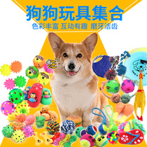 Pet dog toy ball vocal molars bite-resistant training Teddy than bear puppies cat and dog toys pet supplies