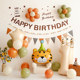 Mori style ins birthday decoration balloon background wall small fresh children baby 100th birthday party scene layout