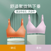 Туман порошок+кирпичный красный