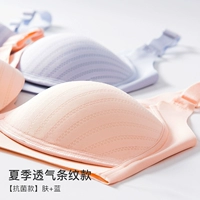 【Летние полосы】 синяя+кожа