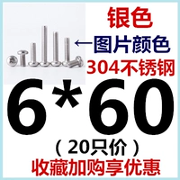 M6*60 (20)