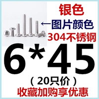 M6*45 (20)