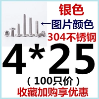 M4*25 (100)