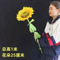 Одиночная голова высотой 105 см