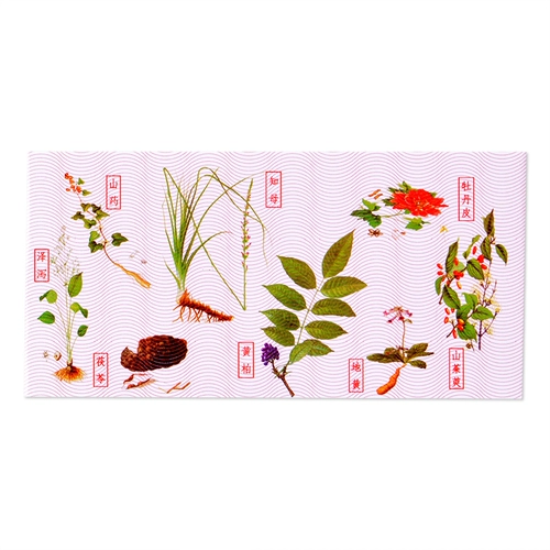 仲景 Wanxi Zhibai Dihuang Таблетки 200 таблеток для уменьшения пожара, питательного дефицита инь в почках, сухой болевой боли, инь, дров, китайская медицина, мужчины, мужчины