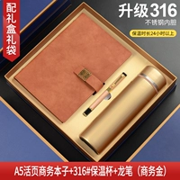 Brown A5 Lose-Leaf Book + Dragon Pen + Gold 316 Thermos B
